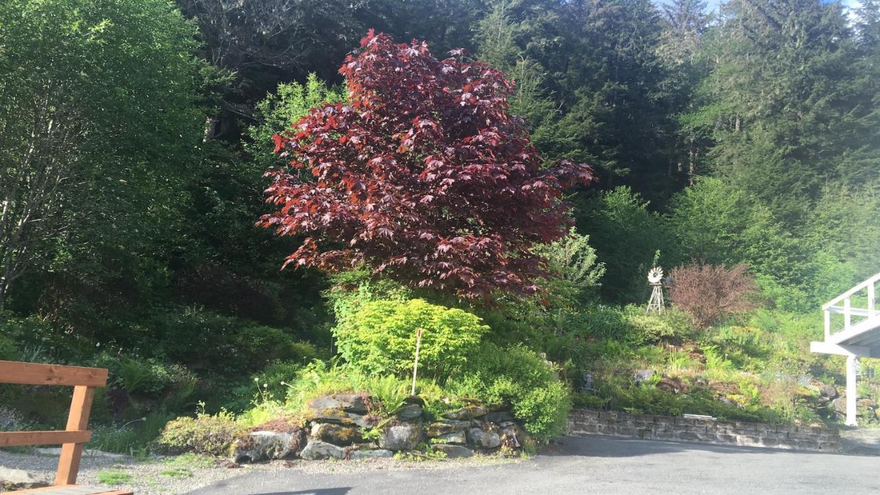 Kelli Creek Cottage - Reduced Price On Tours Juneau Extérieur photo