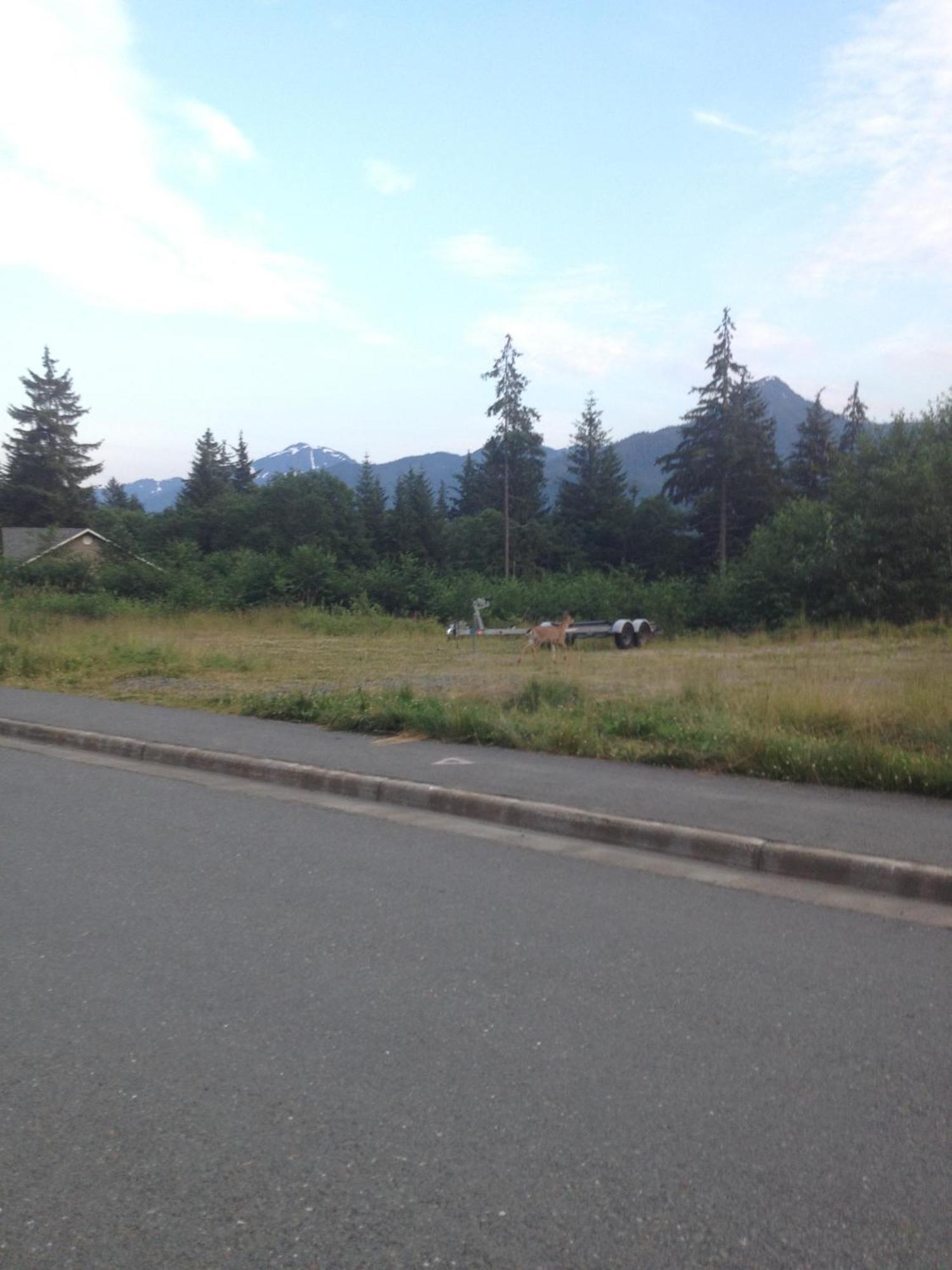 Kelli Creek Cottage - Reduced Price On Tours Juneau Extérieur photo